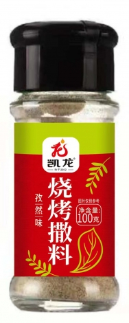 南陽(yáng)瓶裝燒烤撒料-孜然味100g.jpg